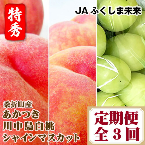 【ふるさと納税】No.176 【令和7年7月～9月頃発送】桑折町もも2品種・シャインマスカット定期便 ／ モモ 桃 あかつき 川中島白桃 ぶどう 葡萄 ブドウ 果物 フルーツ 送料無料 福島県 特産品