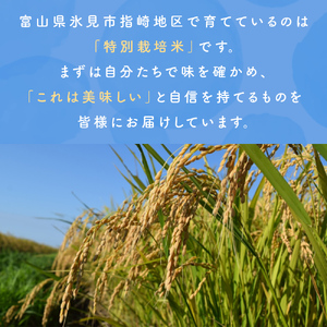 【先行受付】令和7年産 特別栽培米 富山県産コシヒカリ 10kg ＜2025年9月中旬以降順次発送＞ 鰤の里 白米 精米 こしひかり 富山県 氷見市