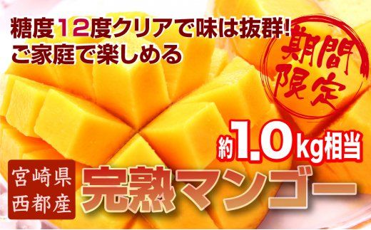 西都産完熟マンゴーご家庭用 ３～５玉（約１ｋｇ） ＪＡ西都《先行予約》＜1.5-64＞2025年発送