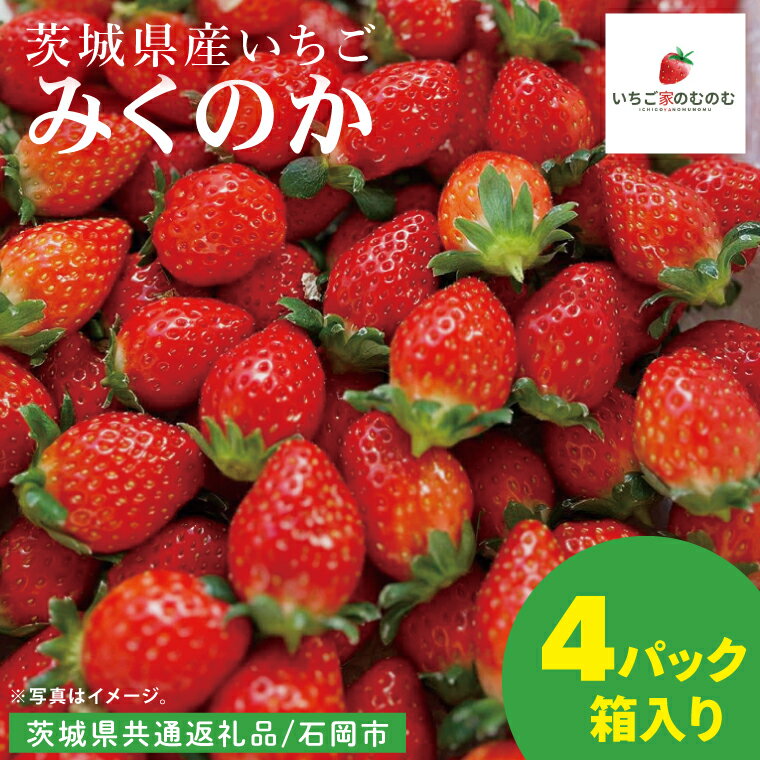 【ふるさと納税】【数量限定】【離島配送不可】みくのか 4パック/箱【茨城県共通返礼品/石岡市】【いちご イチゴ 苺 果物 くだもの フルーツ 茨城県】（LX-8）