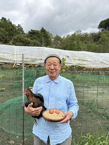 たかはし農園の放し飼い黒鶏ネラのたまご 20個 卵 生卵 卵 鶏卵 卵 卵黄 卵白