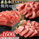 【ふるさと納税】肉 藤彩牛 焼肉用 セット 約1600g 1.6kg 道の駅竜北《60日以内に出荷予定(土日祝除く)》 熊本県 氷川町 肉 牛肉 バラ カルビ ロース モモ もも 焼肉 黒毛和牛