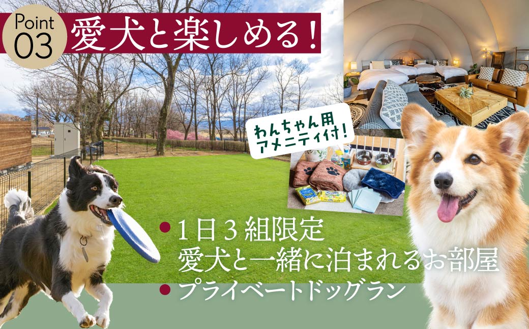 AKAGI GLAMPING VILLAGE　宿泊補助クーポン券【10,000円分】|  宿泊補助券 宿泊 グランピング 温泉 クーポン券 補助券 群馬県 前橋市