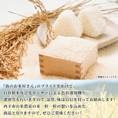 ふるさと納税 西予市 <令和7年産 西予市産 コシヒカリ10kg> 宇都宮米穀 愛媛県産 |  | 03