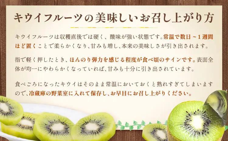 キウイ キウイフルーツ 徳島県産 ご家庭用 訳あり 2.2kg
