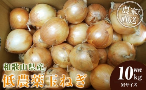 ［2026年発送分・先行予約］農家さん直送 低農薬玉ねぎ Mサイズ 10kg程度［4月中旬～7月中旬頃発送予定］［KF17］