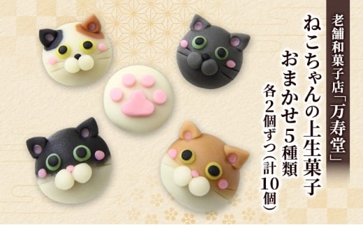 創業明治44年［菓子司 万寿堂］ねこちゃんの上生菓子 おまかせ5種類 各2個ずつ（計10個）秋田 羽後 西馬音内 【菓子 和菓子 生菓子 上生菓子 スイーツ かわいい 高級 老舗 お取り寄せ ギフト】