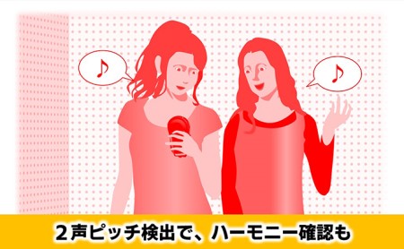 【Roland】ボーカルトレーナー/VT-12-BK【配送不可：離島】