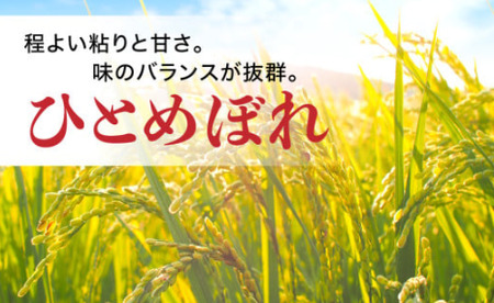 無洗米 ひとめぼれ 10kg 6回定期便  |  無洗