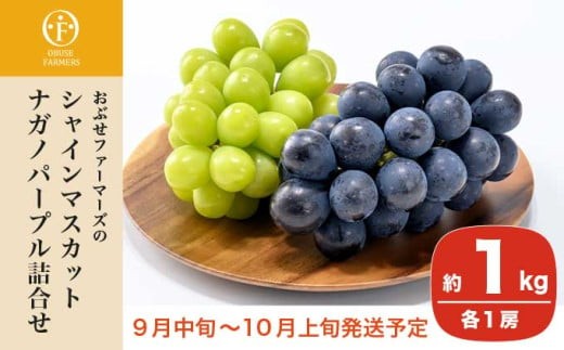 
                  皮ごと食べられる長野県産ぶどう２種詰め合わせ シャインマスカット ＆ ナガノパープル 約1kg 各1房 ［おぶせファーマーズ］ 果物 フルーツ ぶどう 葡萄 冷蔵便 クール便 長野県産 信州産 食べ比べ 令和8年産 【2026年9月中旬～10月上旬発送】 ［F-27］
                