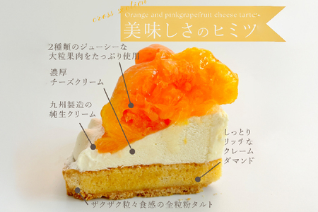 フルーツ タルト オレンジ ＆ ピンク グレープフルーツ チーズタルト 1ホール 14cm [心優-Cotoyu Sweets- 長崎県 平戸市 hr42bgy420081]