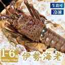 【ふるさと納税】 冷凍 伊勢海老 特大 1～3尾 （800～1000g） ・ 2、4尾（600～800g）・2、4、6尾（450～600g） イセエビ エビ 海老 急速冷凍 刺し身 刺身 魚 海鮮 おかず 酒 塩 魚介 惣菜 グルメ 贈り物 プレゼント ギフト ふるさと納税 送料無料 千葉県 銚子市 飯田水産