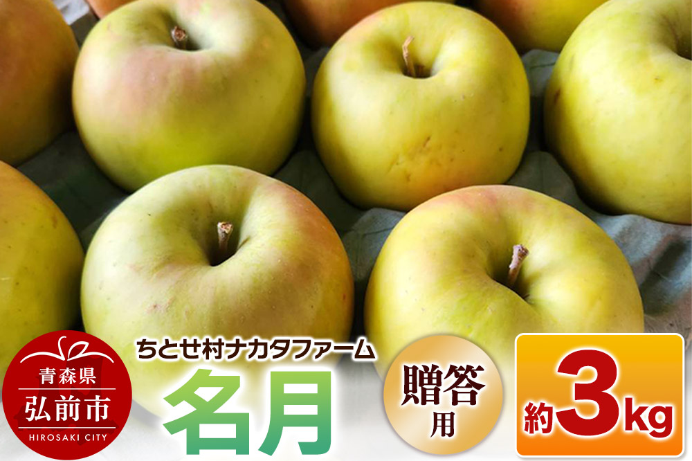 りんご 名月 約3kg 贈答用 ちとせ村