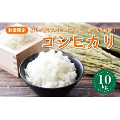 ふるさと納税 愛南町 【先行予約】新米 令和8年産 コシヒカリ 10kg 愛南町 マルハラファーム