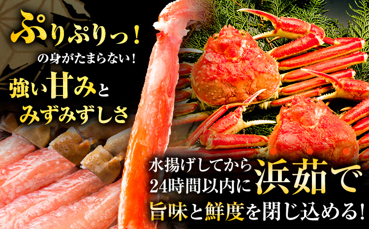 訳あり カニ 紅ズワイガニ 1kg(3枚)《2024年9月中旬-2025年6月中旬頃に出荷予定》鳥取県 八頭町 送料無料 蟹 かに 姿 鍋 ズワイガニ ベニズワイガニ ズワイ蟹 ボイル 冷蔵便【配送不