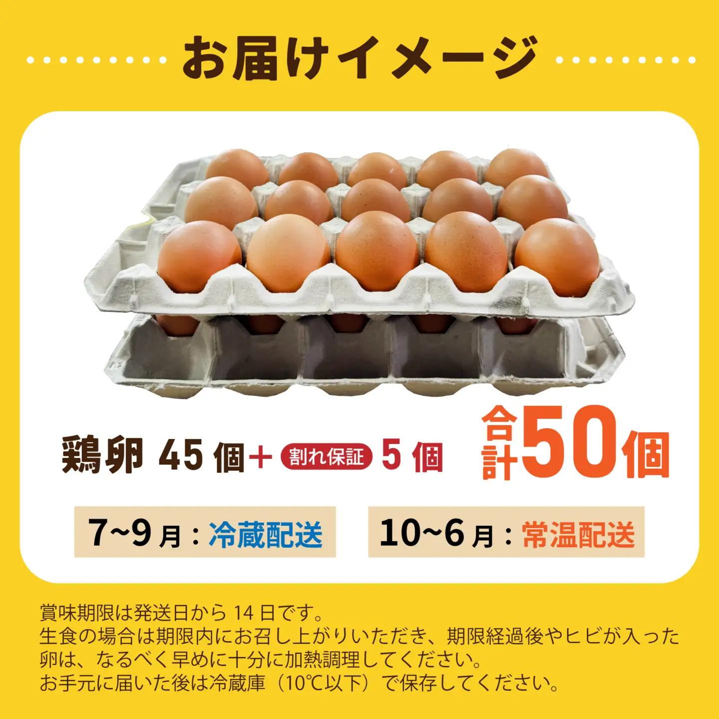 こだわり卵 オクノのたまご 50個 / 卵