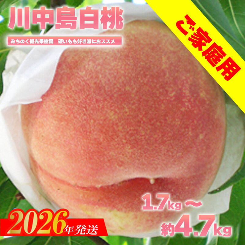 【ふるさと納税】もも「川中島白桃」ご家庭用　約4.7kg 約2.7kg【2026年発送　先行予約】
