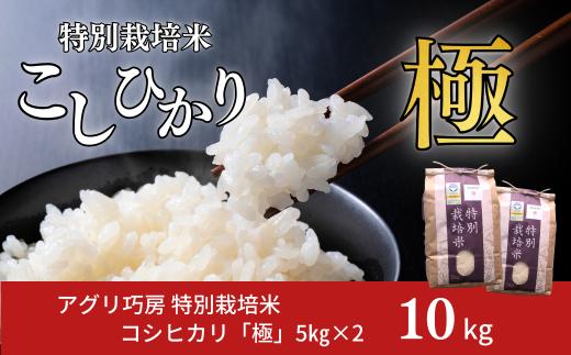 特別栽培米 コシヒカリ 「極」 10kg (5kg×2袋) 令和7年産 一等米 こしひかり 新潟県認証 精米 白米【024S027】