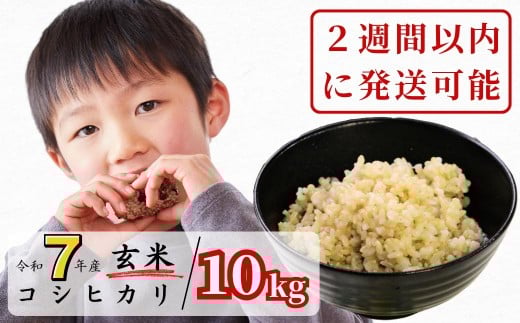 
            《令和7年産新米受付開始》玄米 10kg 令和7年産 コシヒカリ 岡山 あわくら源流米 K-ac-AEFA
          