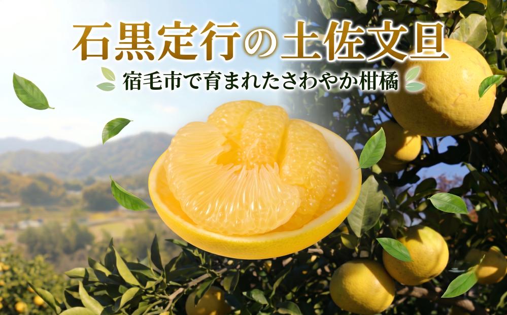 
                  【令和9年1月中旬発送開始】土佐文旦 約10kg 贈答用 文旦 高知県 数量限定 期間限定 季節限定 旬 常温 柑橘 みかん フルーツ 果物 石黒定行 宿毛
                