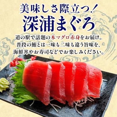 ふるさと納税 深浦町 青森県深浦産天然本マグロ(赤身2柵)【No.5296-0210】 |  | 01