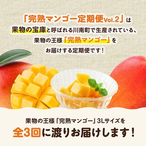 【3ヶ月定期便】完熟マンゴー定期便Vol.2 果物 フルーツ マンゴー