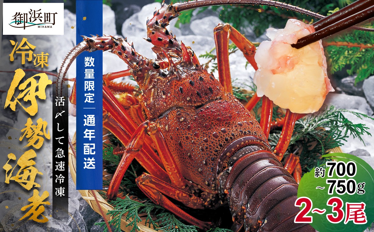 
                  ［日付指定できる！］文恵丸水産の熊野灘産活〆急速冷凍伊勢海老　梅 2～3尾 約700～750g【要日時指定配達 急速冷凍 魚介 プロトン 伊勢海老 伊勢えび 海老 えび 三重県 御浜町 冷凍】
                