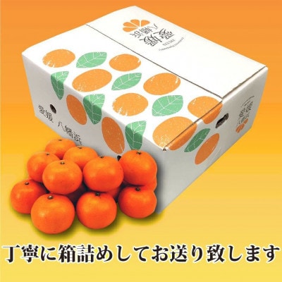 2026年1月出荷開始　爽やかな香り。酸味が少なく甘みの強い「ポンカン」約5kg 【C39−38】【1254540】