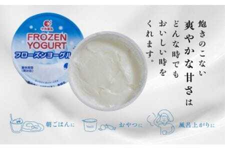 アイス フローズンヨーグルト 12個 アイス 1年 定期便　
