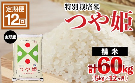 【定期便12回】山形産 特別栽培米 つや姫 5kg×12ヶ月(計60kg) FY24-472