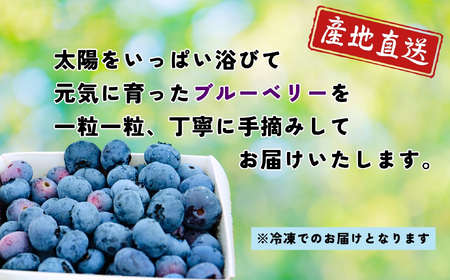 【先行予約】無農薬 完熟ブルーベリー姫[冷凍]１kg(2025年7月より発送） (7-A16)