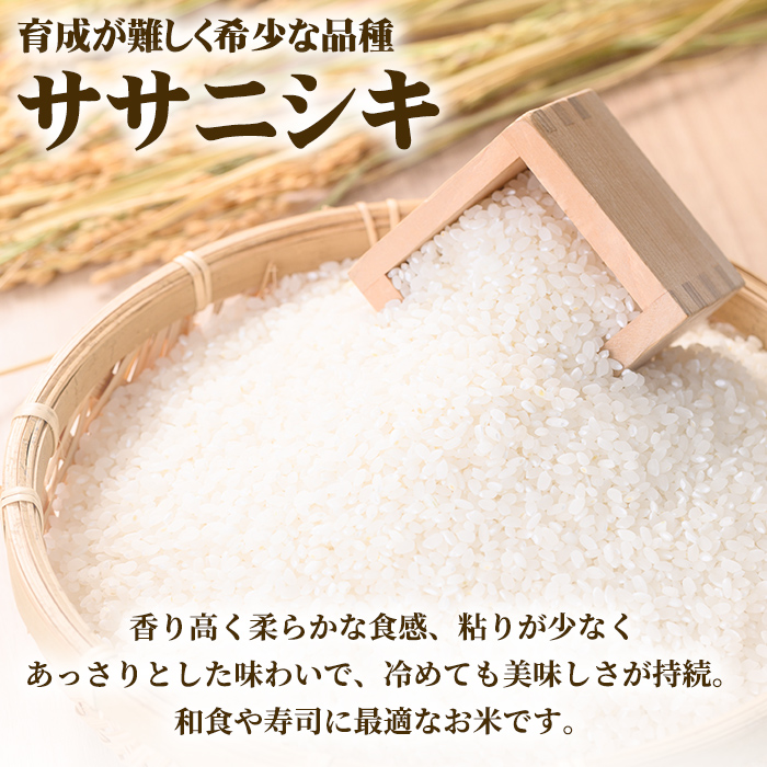 ＜先行予約！2026年10月以降順次発送予定＞【令和8年産 新米】しばたのササニシキ 精米 5kg 柴田町産 お米 おこめ 米 コメ 白米 ご飯 ごはん おにぎり お弁当 ささにしき 新米 【しばたの