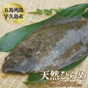 【ふるさと納税】五島 列島 天然 ひらめ 総計約2.5kg 刺身 しゃぶしゃぶ 刺し身 宇久島 鮮魚 海産 海鮮