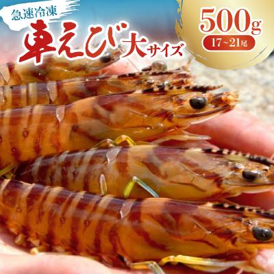 ふるさと納税 宜野座村 【養殖場から直送】急速冷凍車えび 大サイズ 500g(17〜21尾/500g×1P)
