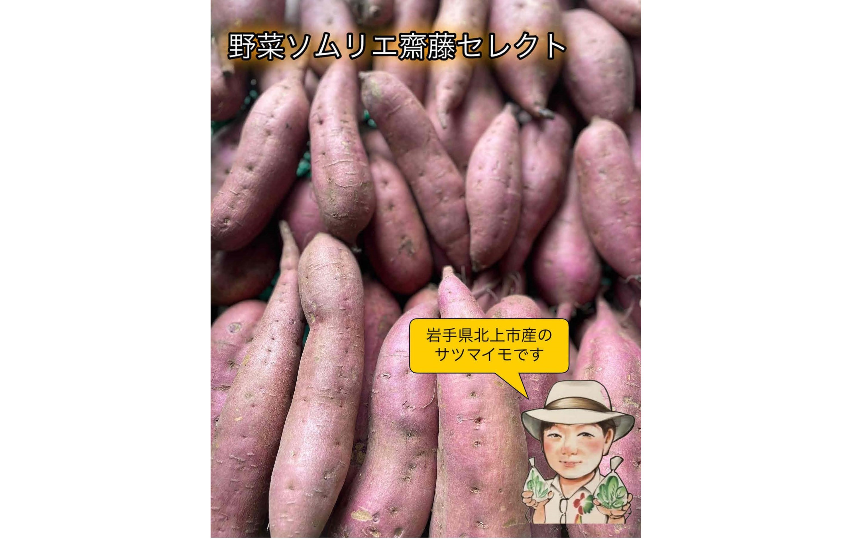 
            【予約受付 2025年産 】 野菜ソムリエ 齋藤セレクト「新」秋セット さつまいも 2種 (約 5kg ) セット 国産 岩手 サツマイモ 芋 野菜 セット シルクスイート 紫さつまいも パープルスイート ハロウィンスイート 紅あずま 紅はるか 安納芋 鳴門金時等 岩手県 北上市 C0308 齋藤 智仁 ※令和7年10月中旬発送開始予定
          