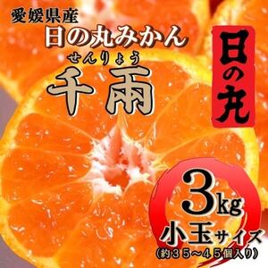 日の丸みかん「千兩」3kg　約35～45個/Sまたは2Sサイズ/光センサー使用【C79-8】【1452031】