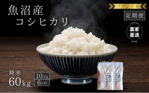 
                  【定期便：精米10kg×6ヶ月】ブランド米    魚沼産コシヒカリ 米 こしひかり 新潟 定期
                