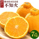 【ふるさと納税】訳あり 不知火 約7kg しらぬい みかん 柑橘 フルーツ 果物 九州 熊本県 送料無料【2025年1月下旬から2025年4月下旬発送予定】