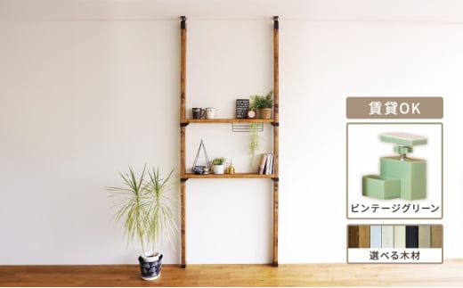 [№5258-7830]LABRICO棚セットM　アジャスター：ヴィンテージグリーン×無塗装