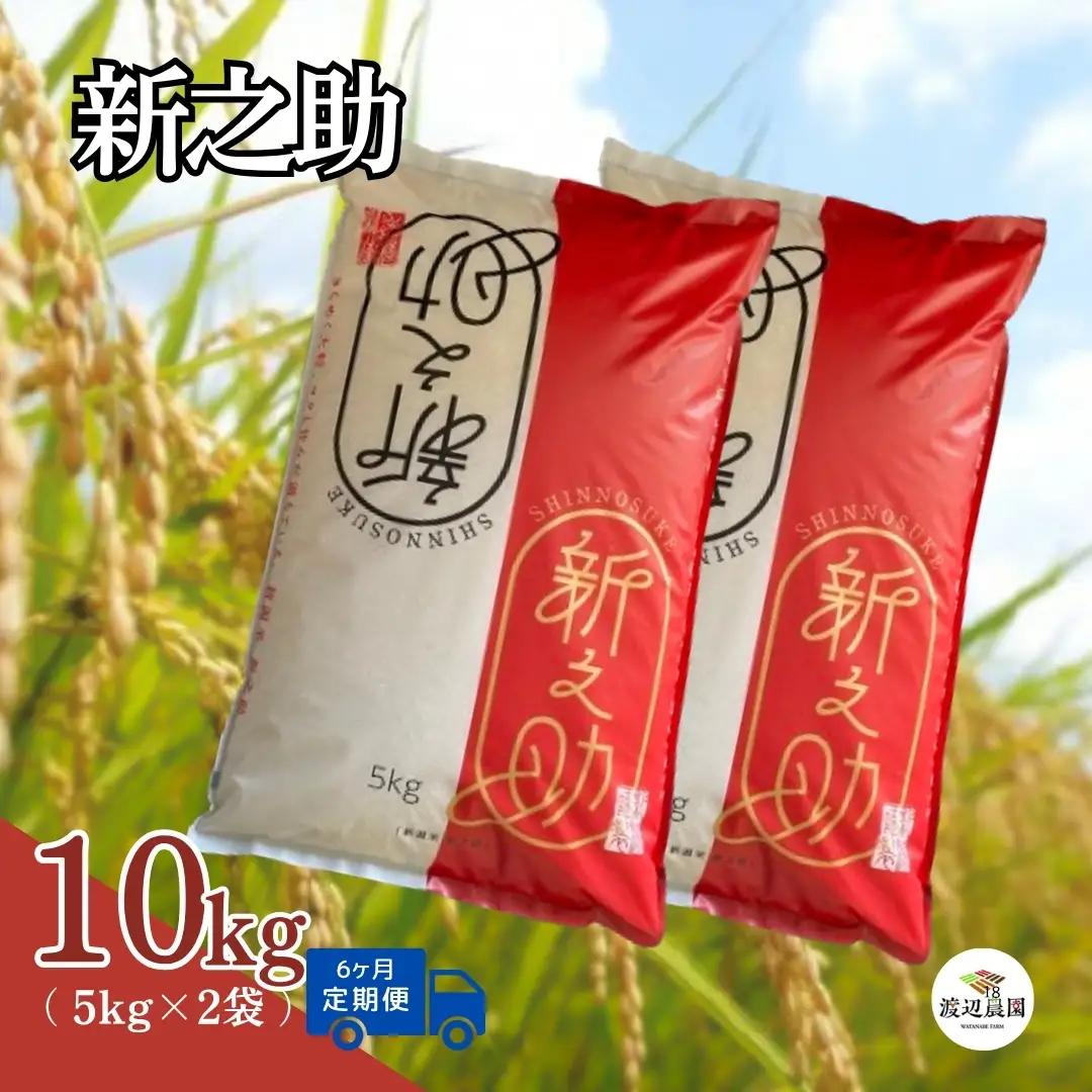 【定期便6回】令和8年産 新米 新之助 10kg×6回(計60kg) 渡辺農園 先行予約 | 新潟県産 白米 米 五泉市 しんのすけ