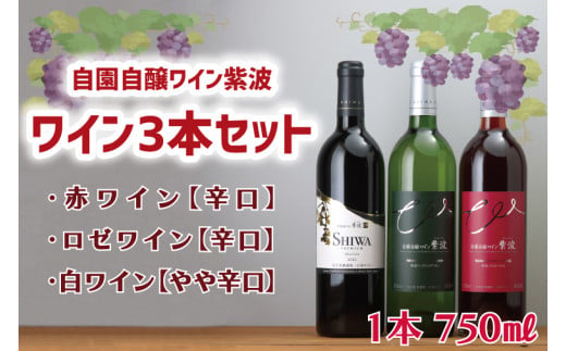 産地限定 ワインぶどう品種使用 ワイン3本セット 自園自醸ワイン紫波 紫波町産 テロワール ワイン (AL039-1)