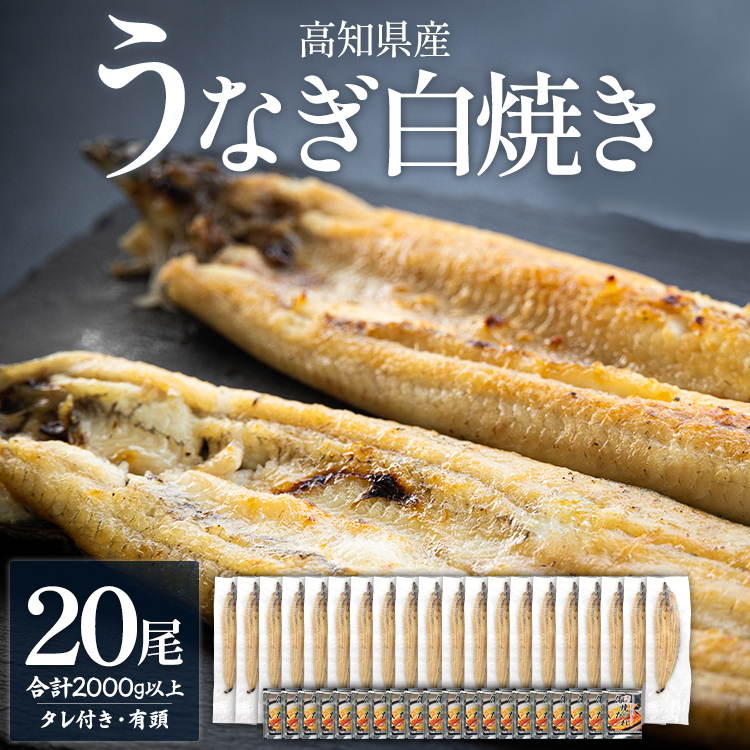 【数量限定】うなぎ 白焼き 2kg以上 20尾×100～120g - 蒲焼き タレ付き 国産 鰻 ウナギ 有頭 背開き つまみ ご飯のお供 老舗 土佐湾 吉川水産 高知県 香南市 冷凍 yw-0083