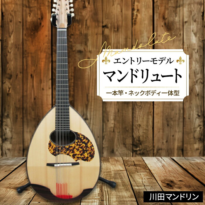 【ふるさと納税】【エントリーモデル】マンドリュート [No.295] ／ 楽器 弦楽器 送料無料 岐阜県