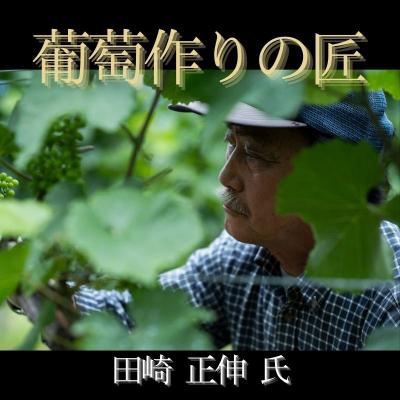 ふるさと納税 余市町 余市 葡萄作りの匠「北島秀樹」&「田崎正伸」ミュラートゥルガウ飲み比べセット_Y034-0091 |  | 02