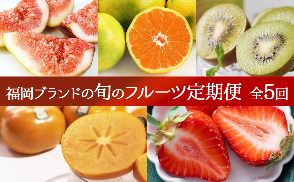 ＜5回定期便＞福岡ブランドの旬のフルーツ定期便 (篠栗町)｜イチジク ミカン キウイ 柿 イチゴ【NF019】