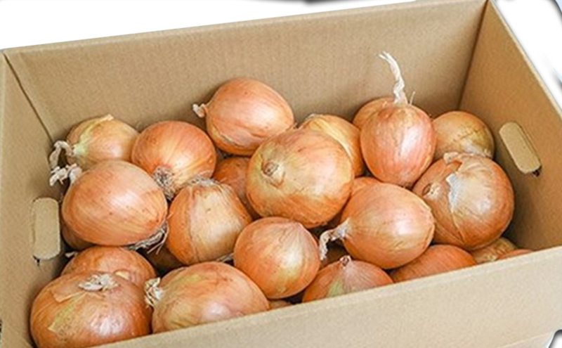 
            小諸産減農薬栽培・玉ねぎ約10kg[№5915-1325]
          