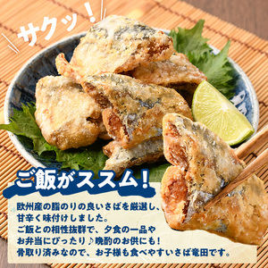 ＜訳あり＞ 揚げるだけ！ さば 竜田揚げ (計約840g・約210g×4袋)小分け 魚 冷凍  【AW-69】【丸正水産】