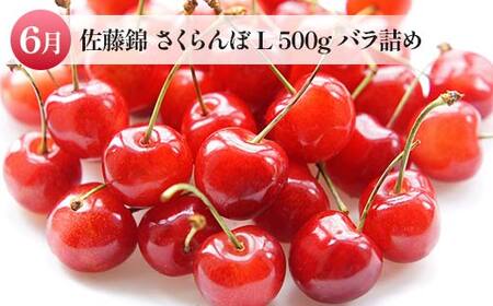 定期便 6月 佐藤錦 500g 8月 桃 6玉～9玉 9月 シャインマスカット 1房【令和8年発送】 FSY-2194