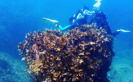 一日中潜りつくそう♪ファンダイビング(3ボート)プラン 島根県松江市/合同会社LOCOBLUE [ALFE003] 体験チケット