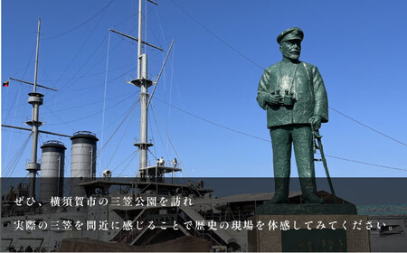 記念艦三笠　サーモステンレスボトル 戦艦三笠　水筒　ステンレスボトル　270ml　【公益財団法人 三笠保存会】[AKBC009]